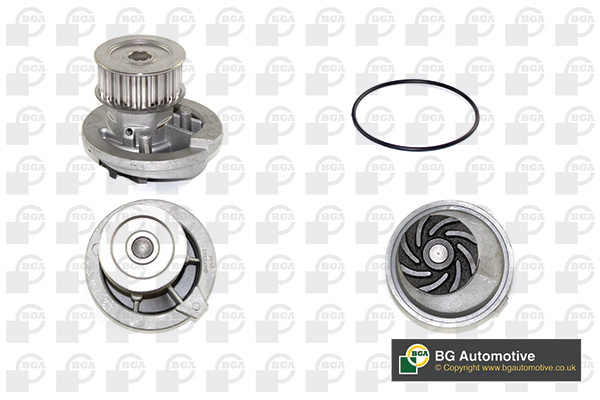 [object Object] CP2894