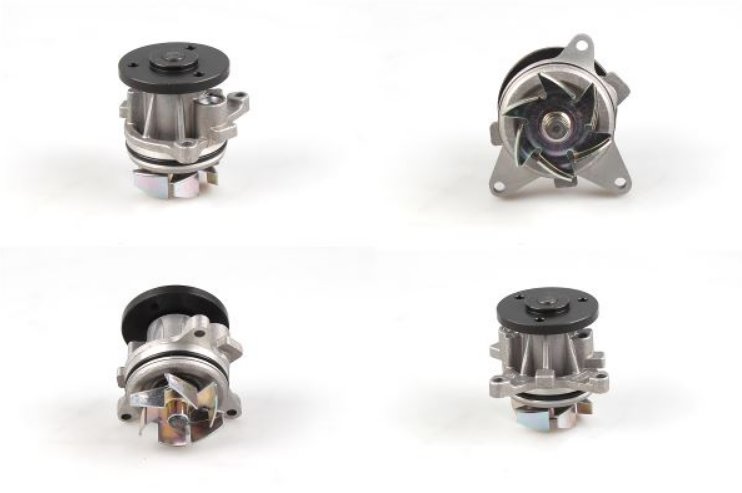 [object Object] P251