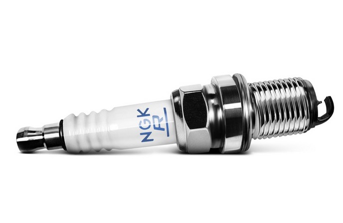 [object Object] MN163236